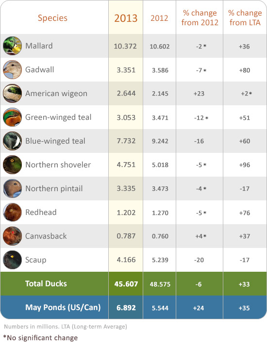 2013-duck-numbers-remain-strong